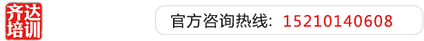 大鸡操嫩逼逼齐达艺考文化课-艺术生文化课,艺术类文化课,艺考生文化课logo